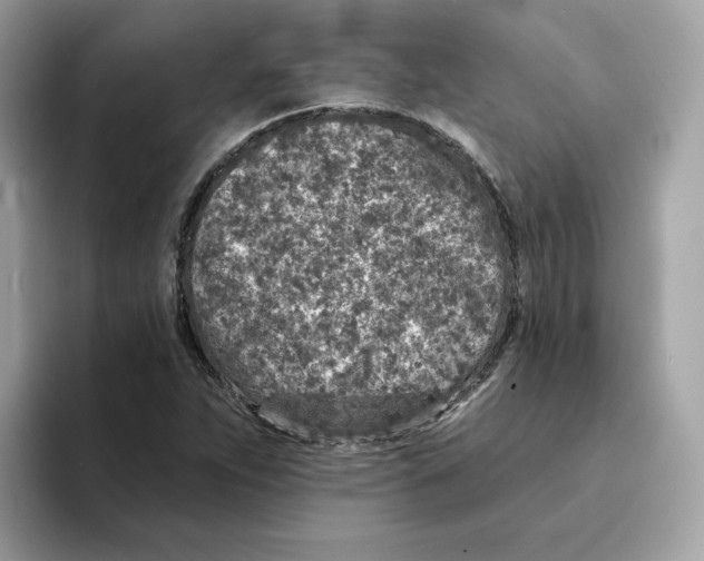 X0000094331263200711301221