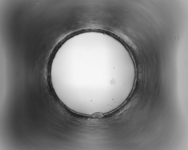 X0000094331264200711301221