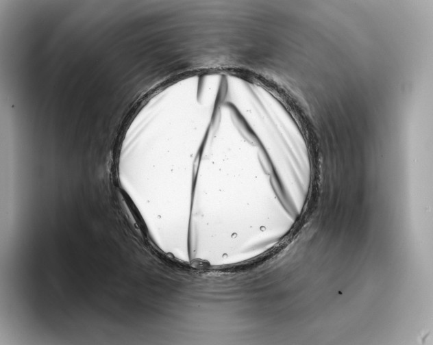 X0000094331265200711301221