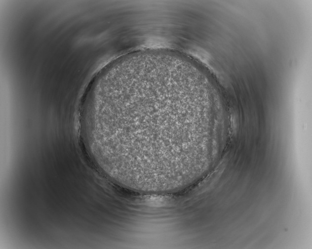 X0000094331266200711301221