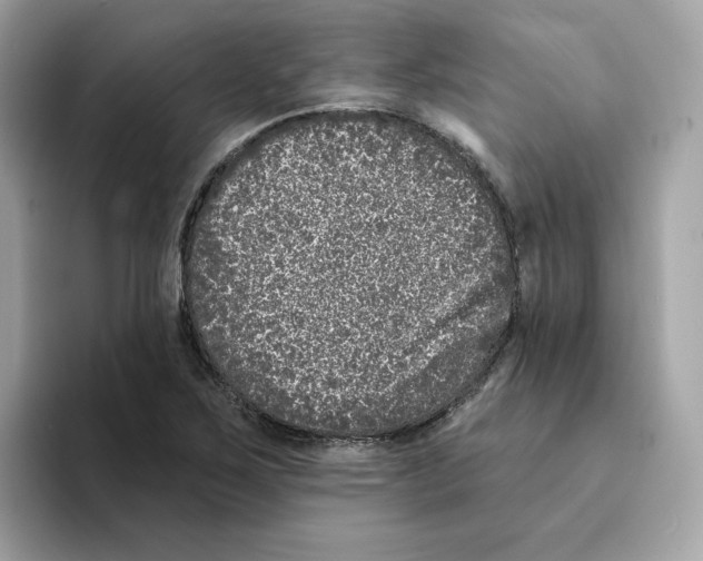 X0000094331267200711301221