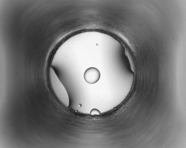 X0000094331270200711301221