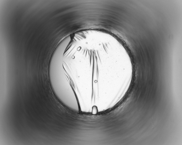 X0000094331273200711301221