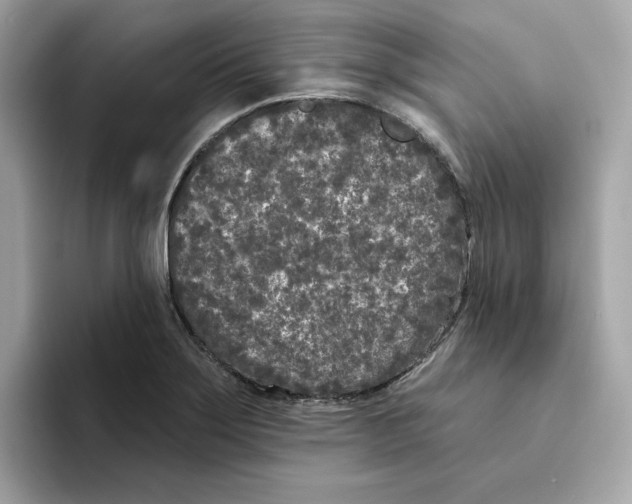 X0000094331275200711301221