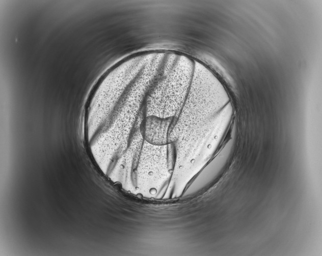 X0000094331276200711301221