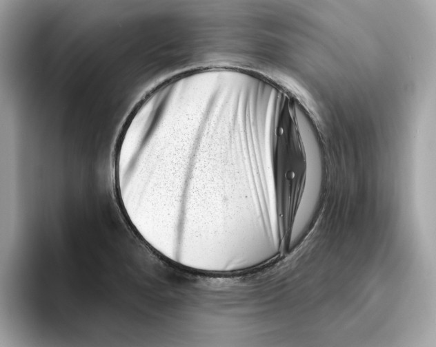 X0000094331280200711301221