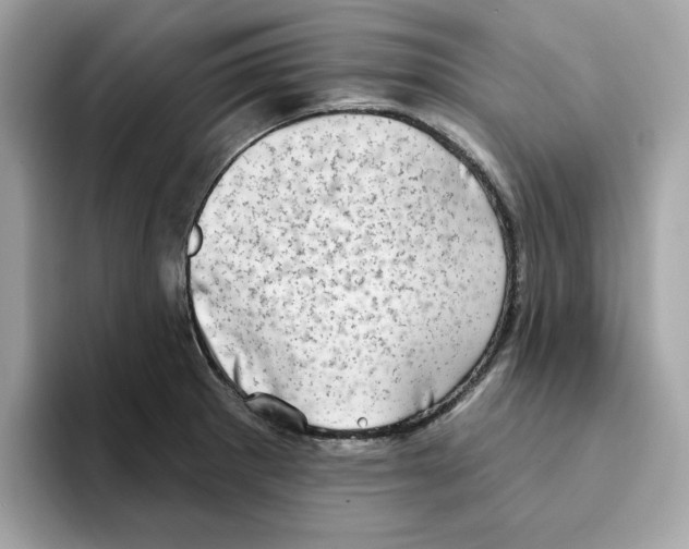 X0000094331281200711301221