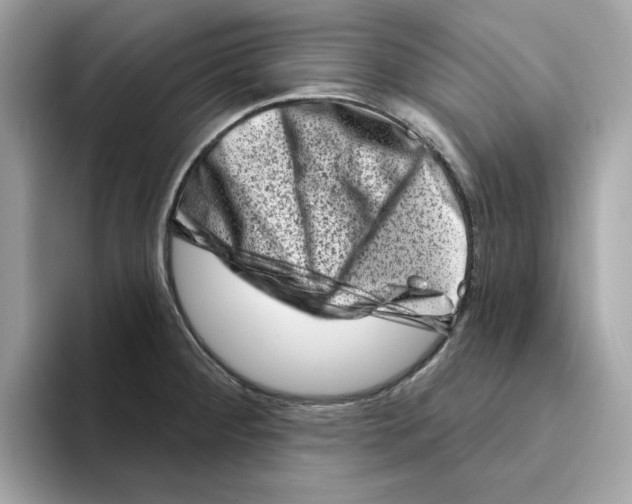 X0000094331284200711301221