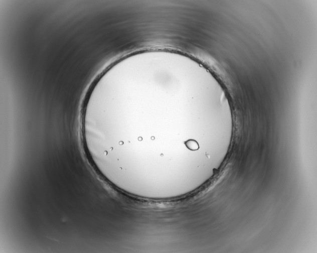 X0000094331286200711301221