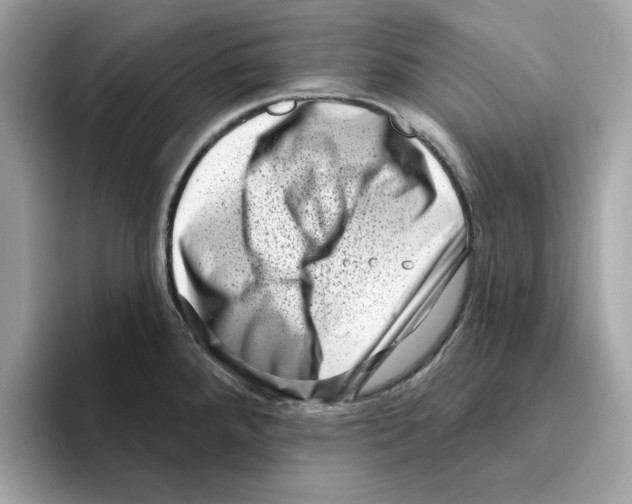 X0000094331288200711301221