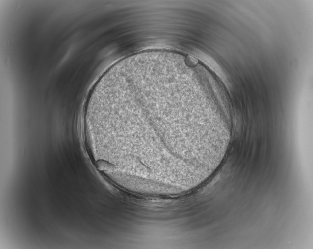 X0000094331290200711301221