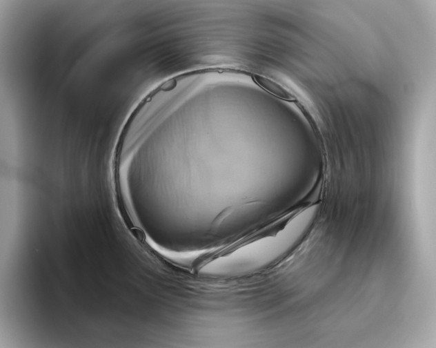 X0000094331291200711301221