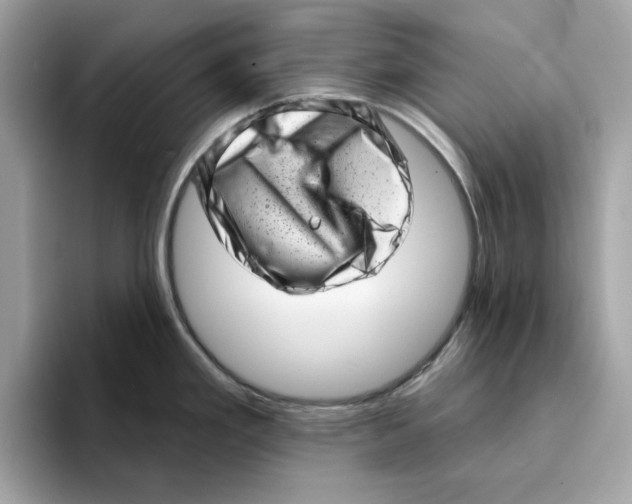 X0000094331293200711301221