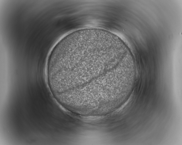 X0000094331294200711301221