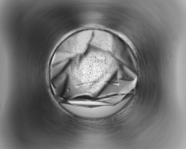 X0000094331295200711301221