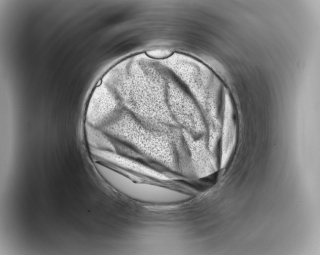 X0000094331296200711301221