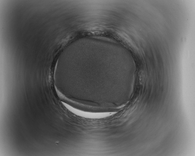 X0000094331298200711301220