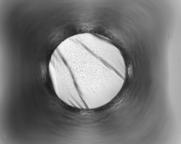 X0000094331299200711301220