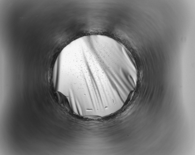 X0000094331300200711301220