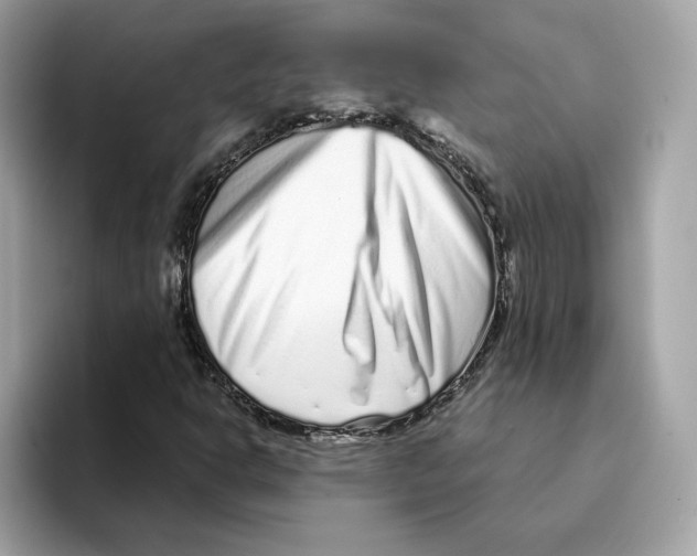 X0000094331302200711301220