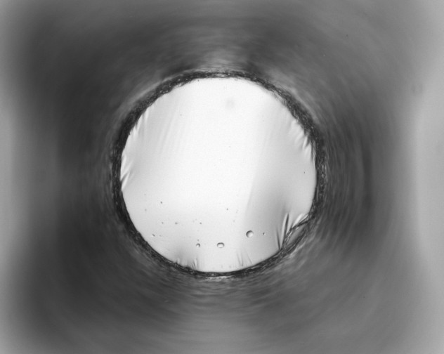 X0000094331304200711301220