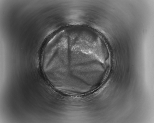 X0000094331306200711301220