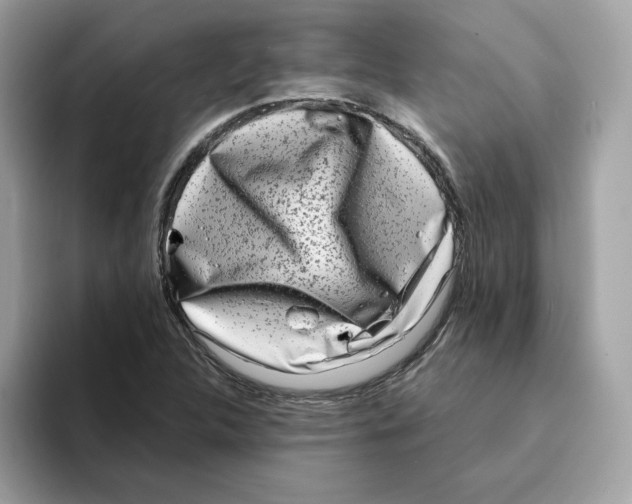 X0000094331312200711301220