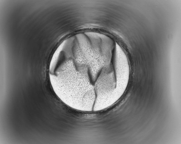 X0000094331313200711301220