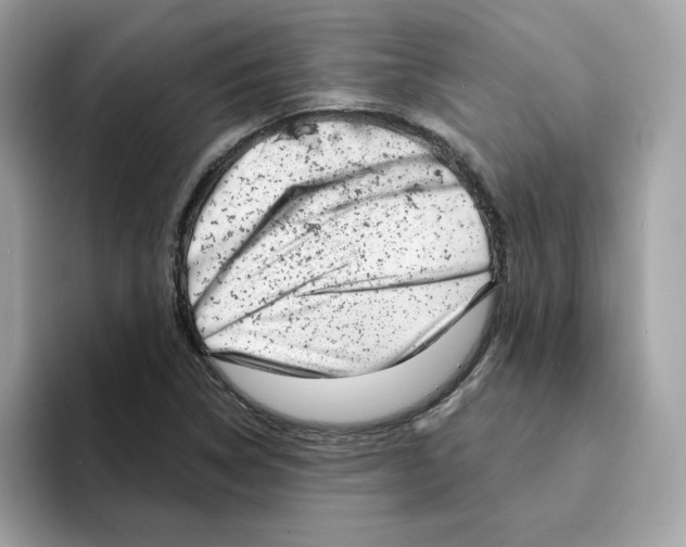 X0000094331314200711301220