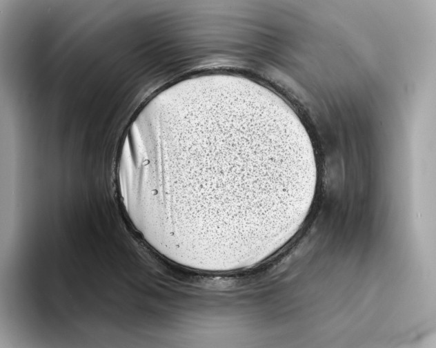 X0000094331321200711301220