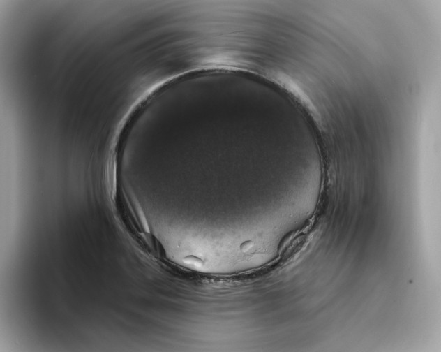 X0000094331323200711301220