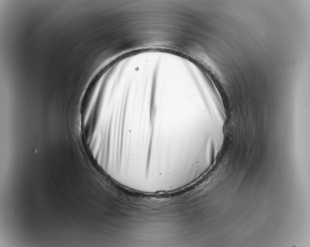 X0000094331324200711301220