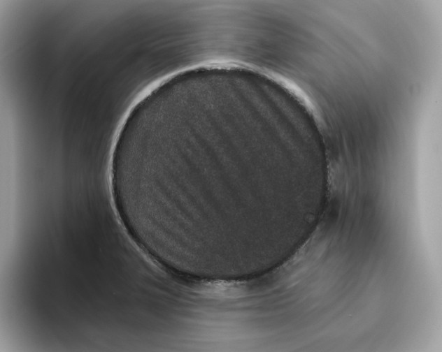 X0000094331327200711301220