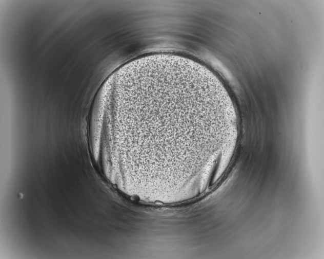 X0000094331329200711301221