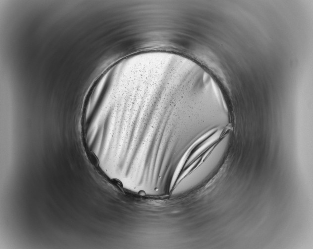 X0000094331330200711301221