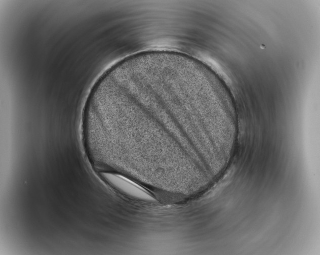 X0000094331331200711301221