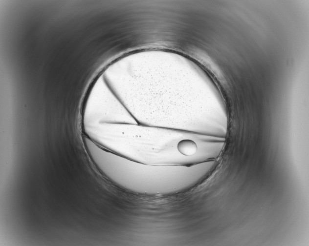 X0000094331332200711301221