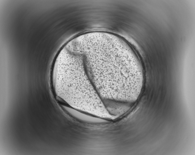 X0000094331333200711301221