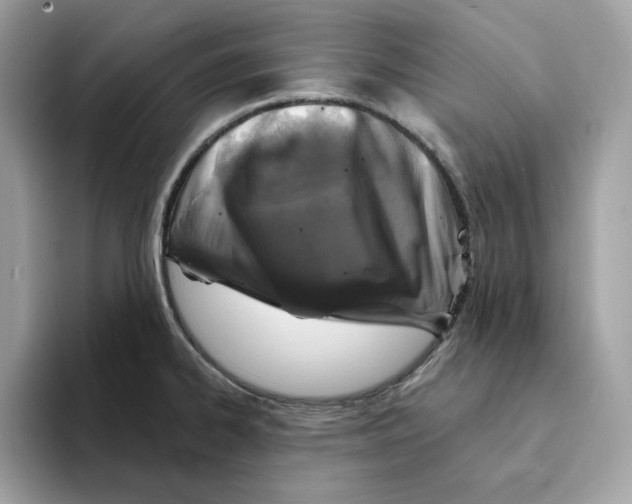 X0000094331334200711301221