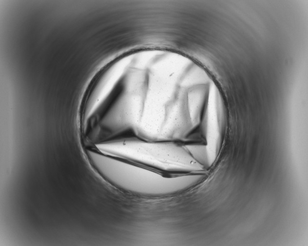 X0000094331335200711301221