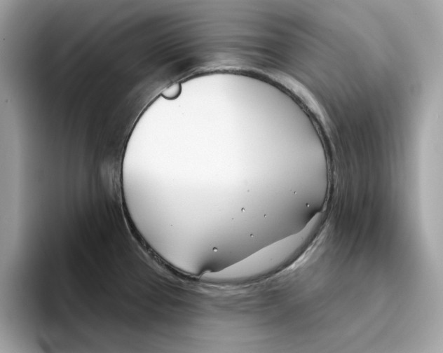 X0000094331337200711301221