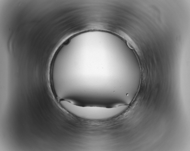 X0000094331339200711301221