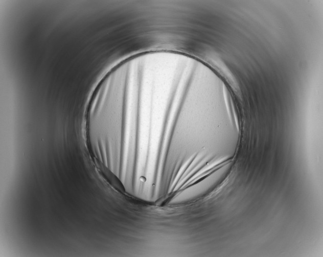 X0000094331340200711301221