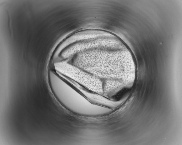 X0000094331341200711301221