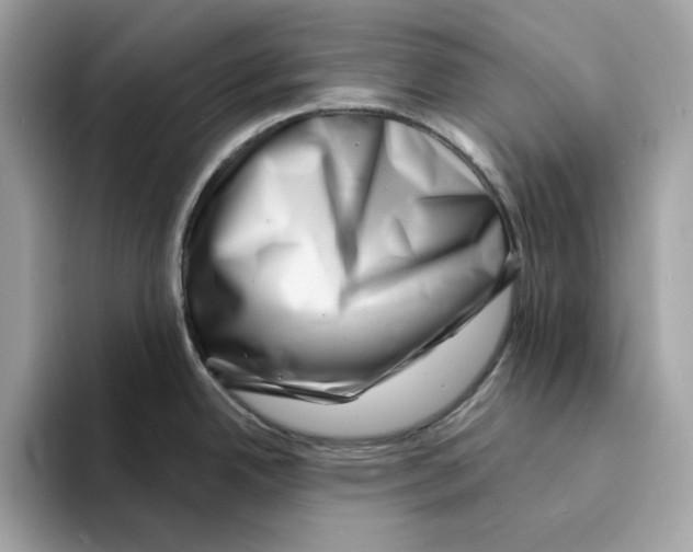 X0000094331342200711301221