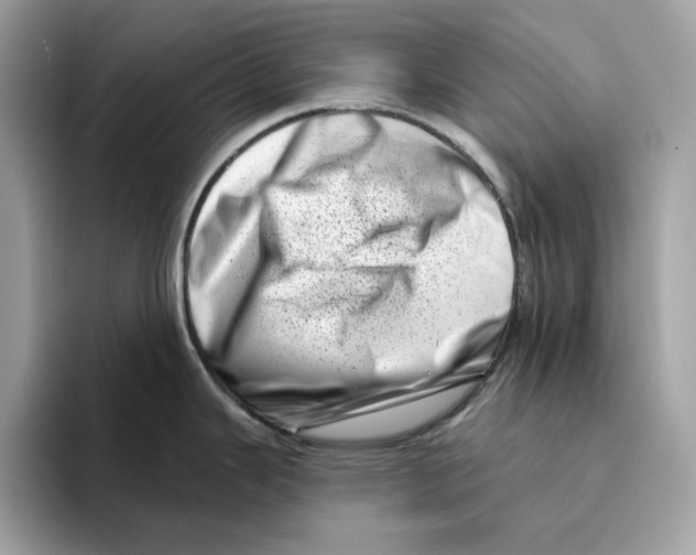 X0000094331343200711301221