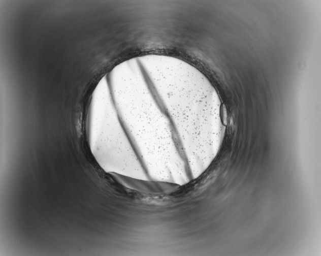 X0000094331348200711301220