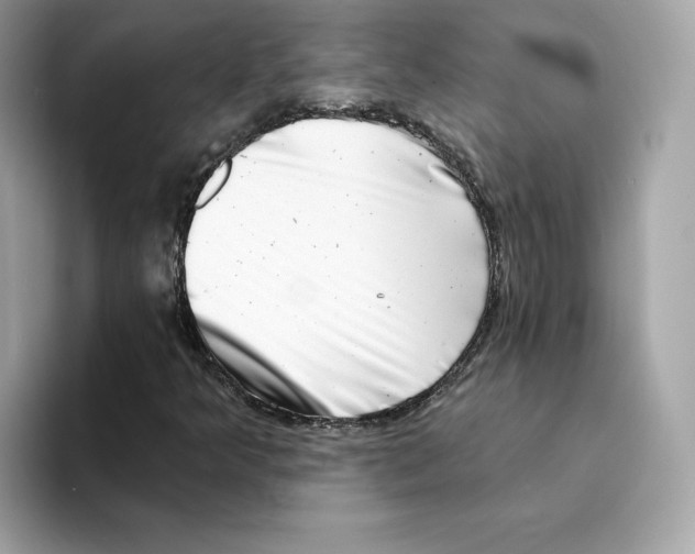 X0000094331349200711301220