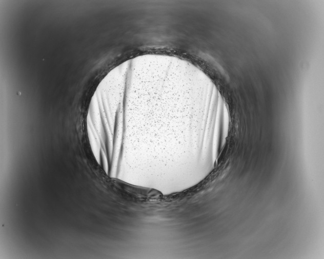 X0000094331350200711301220