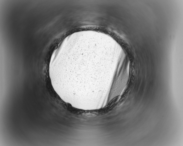 X0000094331351200711301220